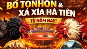 sảnh cược bồ Tonhon & Xà Xía Hà Tiên