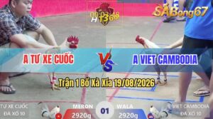 Trận 1 Xà Xía 19/08/2026 – Anh Tư Xe Cuốc Đụng Với Anh Viet Cambodia