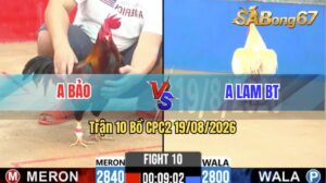 Trận 10 CPC2 19/08/2026 – Anh Lam Hạ Anh Bảo Trong 1 Tay Nước