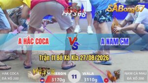 Trận 11 Xà Xía 27/08/2026 – Anh Hắc Coca Thất Thủ Trước Anh Nam CM