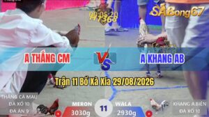 Trận 11 Xà Xía 29/08/2026 – Anh Thắng Cà Mau Gặp Phải Anh Khang AB