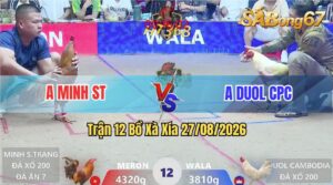 Trận 12 Xà Xía 27/08/2026 – Anh Minh ST Đánh Bại Anh Duol, Đá Xổ 200
