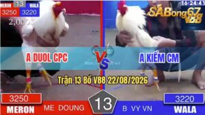 Trận 13 Bồ V88 22/08/2026 – Anh Duol Campuchia Gặp Anh Kiểm Cà Mau