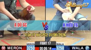 Trận 17 CPC2 31/08/2026 – Anh Hiếu TG Làm Thịt Anh Dú GC Nhanh Gọn