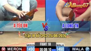 Trận 18 CPC2 25/08/2026 – Anh Long Làm Thịt Anh Tèo Nhanh Gọn