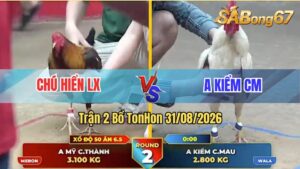 Trận 2 Tonhon 31/08/2026 – Anh Kiểm Chấp Chú Hiển Long Xuyên 3 Chấm
