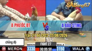 Trận 27 CPC2 22/08/2026 – Idol Bảo Sting Bị Anh Phước ĐT Hạ Gọn