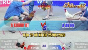 Trận 28 Xà Xía 25/08/2026 – Anh An Chấp Anh Khánh Hơn 1 Ký