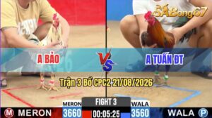 Trận 3 CPC2 21/08/2026 – Anh Bảo Đối Đầu Với Anh Tuấn Đồng Tháp