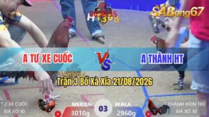 Trận 3 Xà Xía 21/08/2026 – Anh Tư Xe Cuốc Đụng Độ Với Anh Thành HT