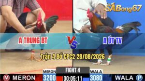 Trận 4 CPC2 28/08/2026 – Anh Trung Hạ Anh Út Đúng 1 Chân Cựa Hiểm