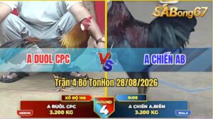 Trận 4 Tonhon 28/08/2026 – Anh Duol CPC Đối Đầu Với Anh Chiến AB