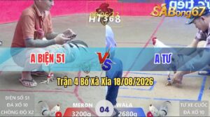 Trận 4 Xà Xía 18/08/2026 – Gà Bướm Anh Tư Chấp 6 Chấm Về Bờ Đẳng Cấp