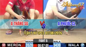 Trận 5 CPC2 02/08/2026 – Gà Hàng Hiệu Của Chú Khanh Ra Sân Có Khác