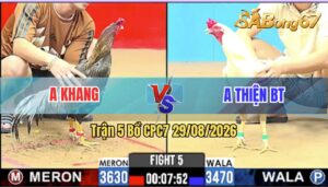 Trận 5 CPC7 29/08/2026 – Anh Khang Đụng Độ Với Anh Thiện Bến Tre