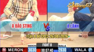 Trận 8 CPC2 26/08/2026 – Idol Bảo Sting Tung Gà Bướm Hiệu Vào Sân