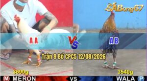 Trận 8 CPC5 12/08/2026 – Gà Đỏ Giành Chiến Thắng Vất Vả Trước Gà Xanh