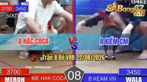 Trận 8 V88 22/08/2026 – Anh Hắc Coca Và Anh Kiểm Cà Mau