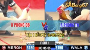 Trận 1 CPC2 13/09/2026 – Anh Phong Q8 Mở Bát Quá Mát Tay