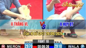Trận 10 CPC2 28/09/2026 – Anh Thắng Vĩnh Long Và Anh Huy Bến Tre