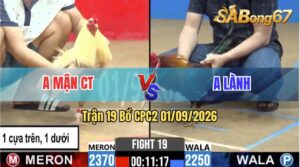 Trận 19 CPC2 01/09/2026 – Anh Lành Đá Phản Thắng Ngược Anh Mận CT