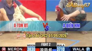 Trận 2 CPC2 07/09/2026 – Anh Ton Tung Gà Bông Vào Tải Cựa Khủng