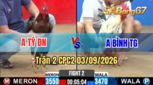 Trận 2 CPC2 Ngày 3/9/2026