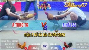 Trận 2 Xà Xía 13/09/2026 – Anh Trực Tiền Giang Gặp Anh Hải Sài Gòn
