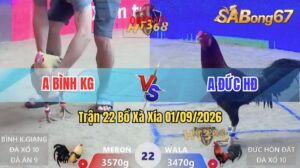 Trận 22 Xà Xía 01/09/2026 – Anh Bình Kiên Giang Và Anh Đức Hòn Đất