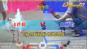 Trận 22 Xà Xía 19/09/2026 – Anh Vỹ Rạch Giá Đối Đầu Anh Phố Sóc Trăng