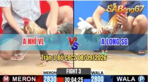 Trận 3 CPC2 08/09/2026 – Anh Long Sài Gòn Gặp Anh Nhí Vĩnh Long