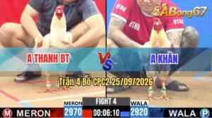 Trận 4 CPC2 25/09/2026 – Anh Thanh Bến Tre Đụng Độ Với Anh Khàn