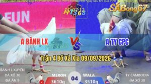 Trận 4 Xà Xía 09/09/2026 – Anh Bành Long Xuyên Gặp Anh Ty Campuchia