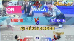 Trận 5 Xà Xía 24/09/2026 – Anh Hào Gặp Anh Hắc Coca, Đá Xổ 500 Triệu