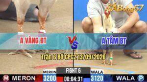 Trận 6 CPC2 13/09/2026 – Anh Tâm Bến Tre Làm Thịt Anh Vàng Đồng Tháp