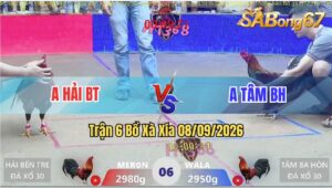 Trận 6 Xà Xía 08/09/2026 – Anh Hải Bến Tre Gặp Anh Tâm Ba Hòn