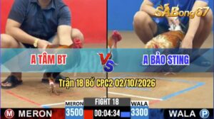 Trận 18 CPC2 02/10/2026 – Idol Bảo Sting Gặp Anh Tâm Bến Tre