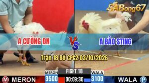 Trận 18 CPC2 03/10/2026 – Anh Bảo Sting Gặp Anh Cường Đồng Nai