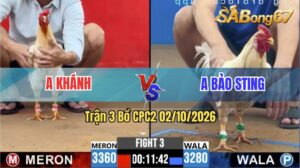 Trận 3 CPC2 02/10/2026 – Anh Bảo Sting Phản Đòn Ăn Đẳng Cấp