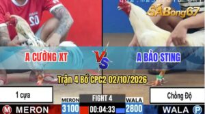 Trận 4 CPC2 02/10/2026 – Gà Úa Idol Bảo Sting Chồng Độ Lên Lớp Hay