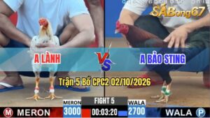 Trận 5 CPC2 02/10/2026 – Anh Bảo Sting Chấp Ngông Bị Anh Lành Lụm